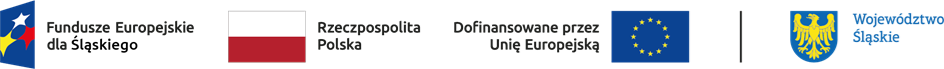 logo fundusze europejskie dla śląskiego, flaga polski