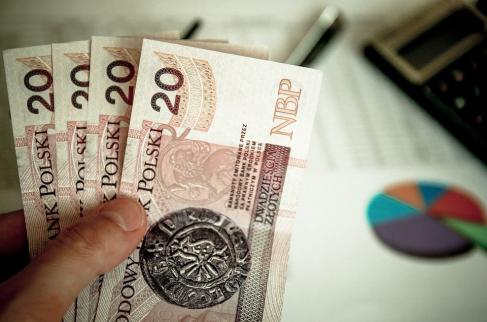 Ręka trzyma plik banknotów dwudziestozłotowych.