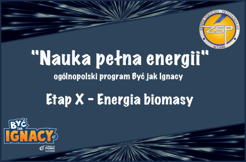 Zdjęcie przedstawia logo programu Być jak Ignacy